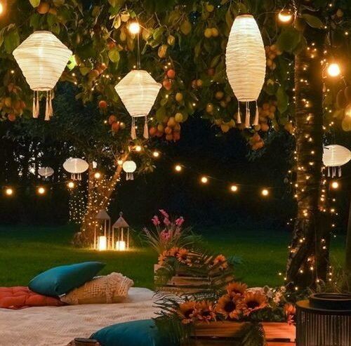 Fairy Lights: Illuminate Your Imagination